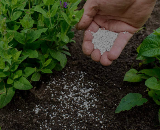 Fertilizer img